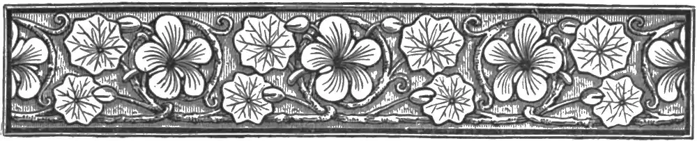 AFR V2 D013 Page header decoration.jpg