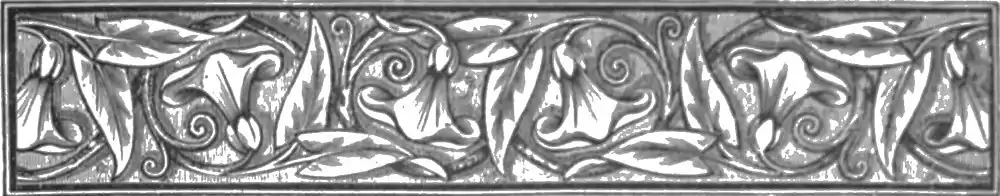 AFR V2 D587 Page decoration.jpg