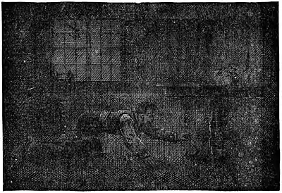 A Tramp Abroad 0130h.jpg