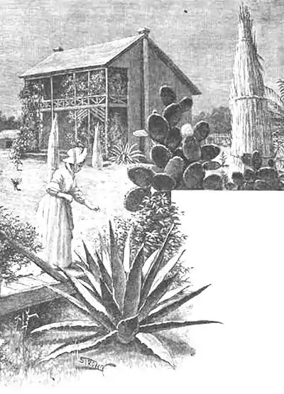 Click on image to enlarge.