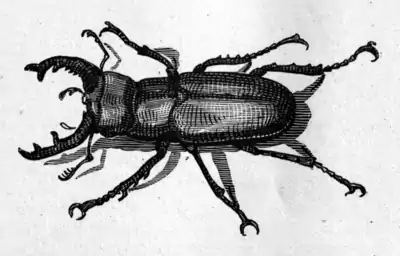 Adventures of Tom Sawyer-pg069.png