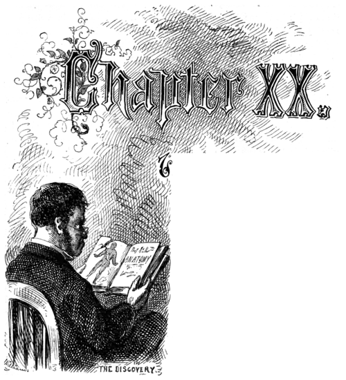 Adventures of Tom Sawyer-pg171.png