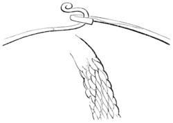 Archaeological Journal, Volume 3, 0042c.png