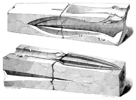 Archaeological Journal, Volume 3, 0285.png