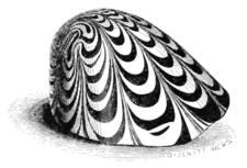 Archaeological Journal, Volume 4, 0072a.png