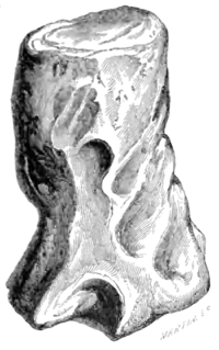 Archaeological Journal, Volume 7, 0104.png