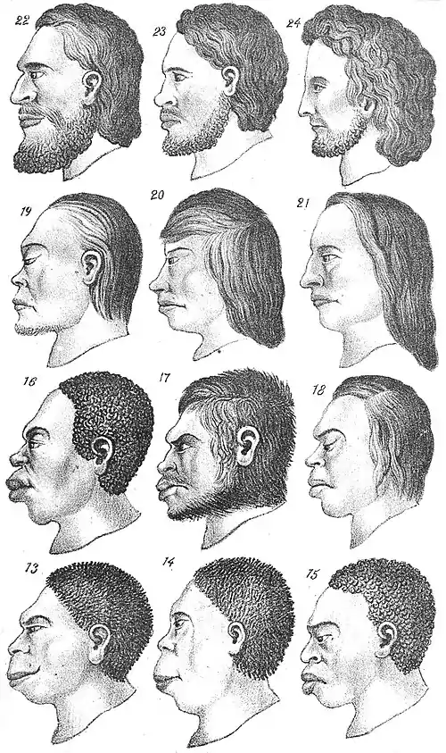 Chapman, Evolution of Life Faces of men.jpg