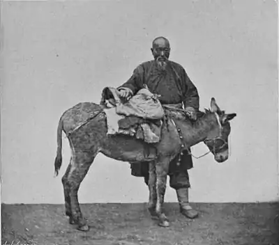 Chinese Coster 2.jpg