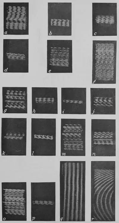 Climatic Cycles and Tree-Growth Plate 12.jpg