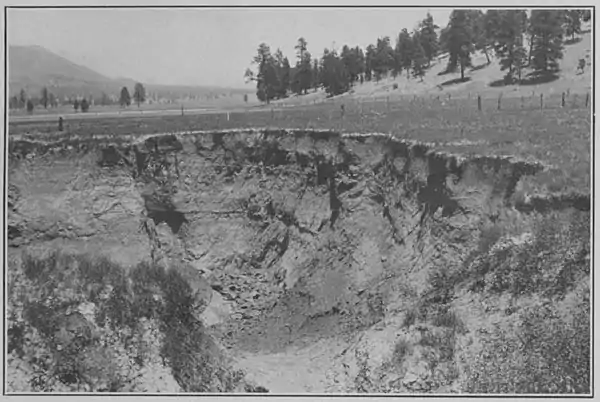 Climatic Cycles and Tree-Growth Plate 1A.jpg