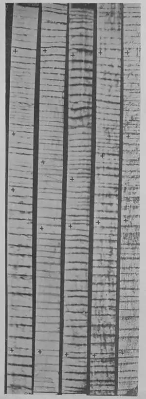 Climatic Cycles and Tree-Growth Plate 2.jpg