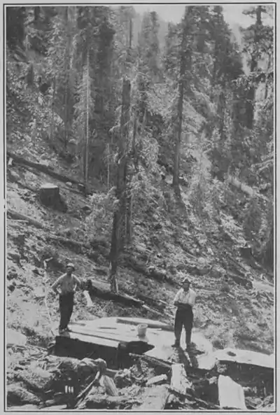 Climatic Cycles and Tree-Growth Plate 5A.jpg