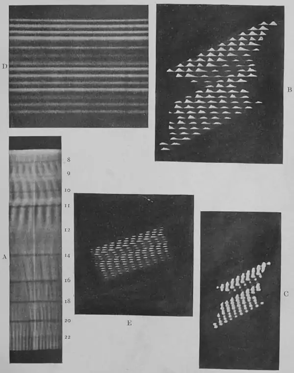 Climatic Cycles and Tree-Growth Plate 9.jpg
