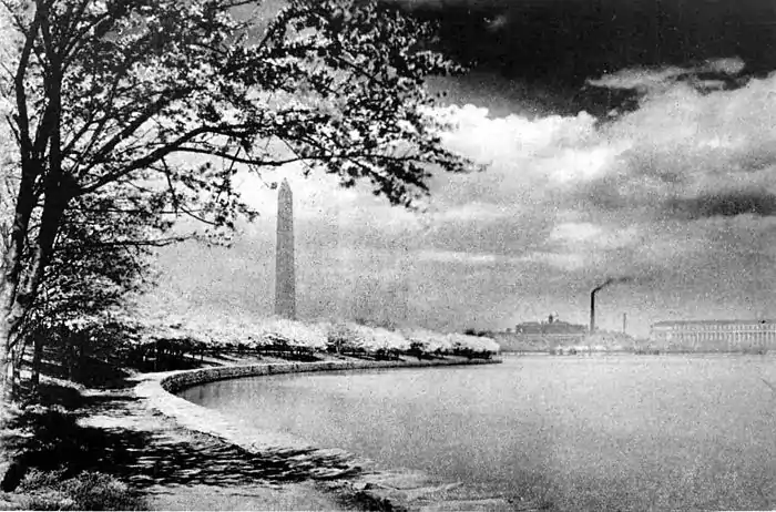 Collier's 1921 Washington George monument.jpg