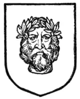 Fig. 253.—A savage's head.