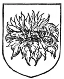 Fig. 437.—Salamander.