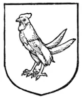 Fig. 477.—Moorcock.