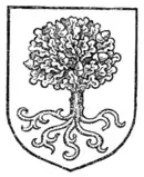 Fig. 486.—An oak-tree eradicated.