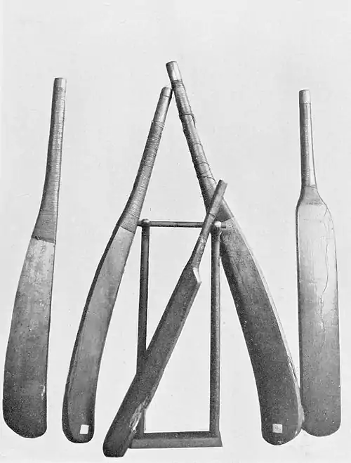 Cricket (Hutchinson) 0125.jpg