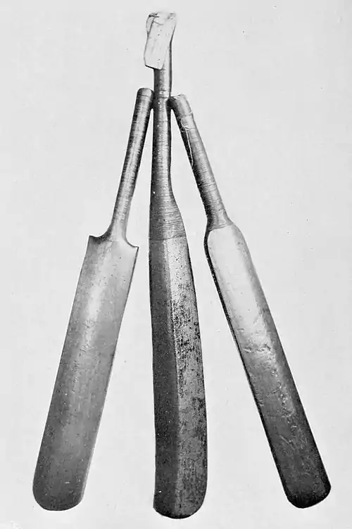 Cricket (Hutchinson) 0126.jpg