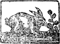 Dainty Davie - Title.png