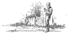 Doreen (C. J. Dennis, 1917) illustration page 17.png