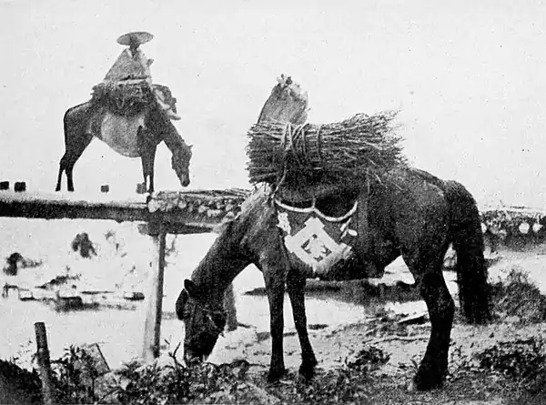Farmers of forty centuries - Japanese fuel coming down from the wooded hills.jpg