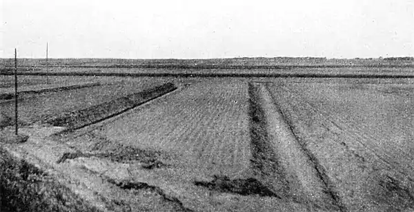 Farmers of forty centuries - Treadling of fields.jpg