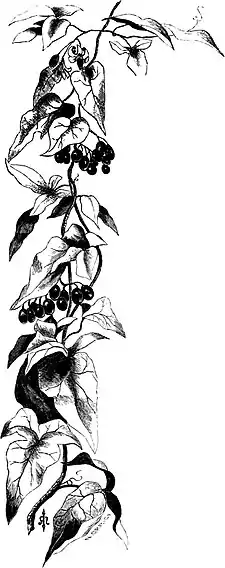 Forest Hymn pg 63b.jpg