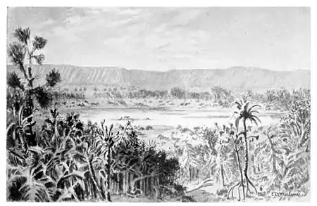 General view of plateau from top of gingho tree, page 225 (The Lost World, 1912).jpg