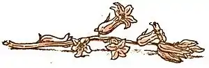 Gertie's sun flower pg 12b.jpg