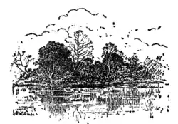 Girl of the Limberlost -half title.png