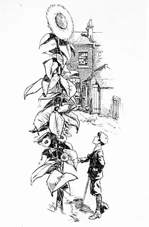 Hardings luck -nesbit 0031.jpg