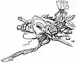 Howells, Stops of Various Quills, 1895 021 large c.jpg