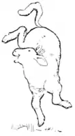 Illustration (a) inset at page 18 of Indian Fairy Tales (1892).png