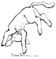Illustration (b) inset at page 18 of Indian Fairy Tales (1892).png