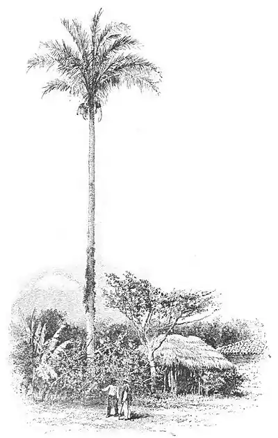 Click on image to enlarge.