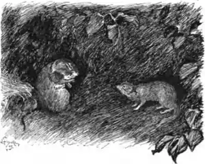 Jungle book p215.png