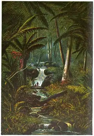 Last of the Tasmanians Plate 1 - Fern Tree Valley.jpg