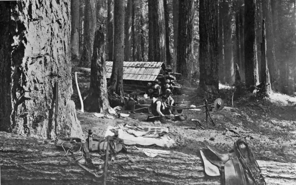 Looters of the Public Domain 075.png