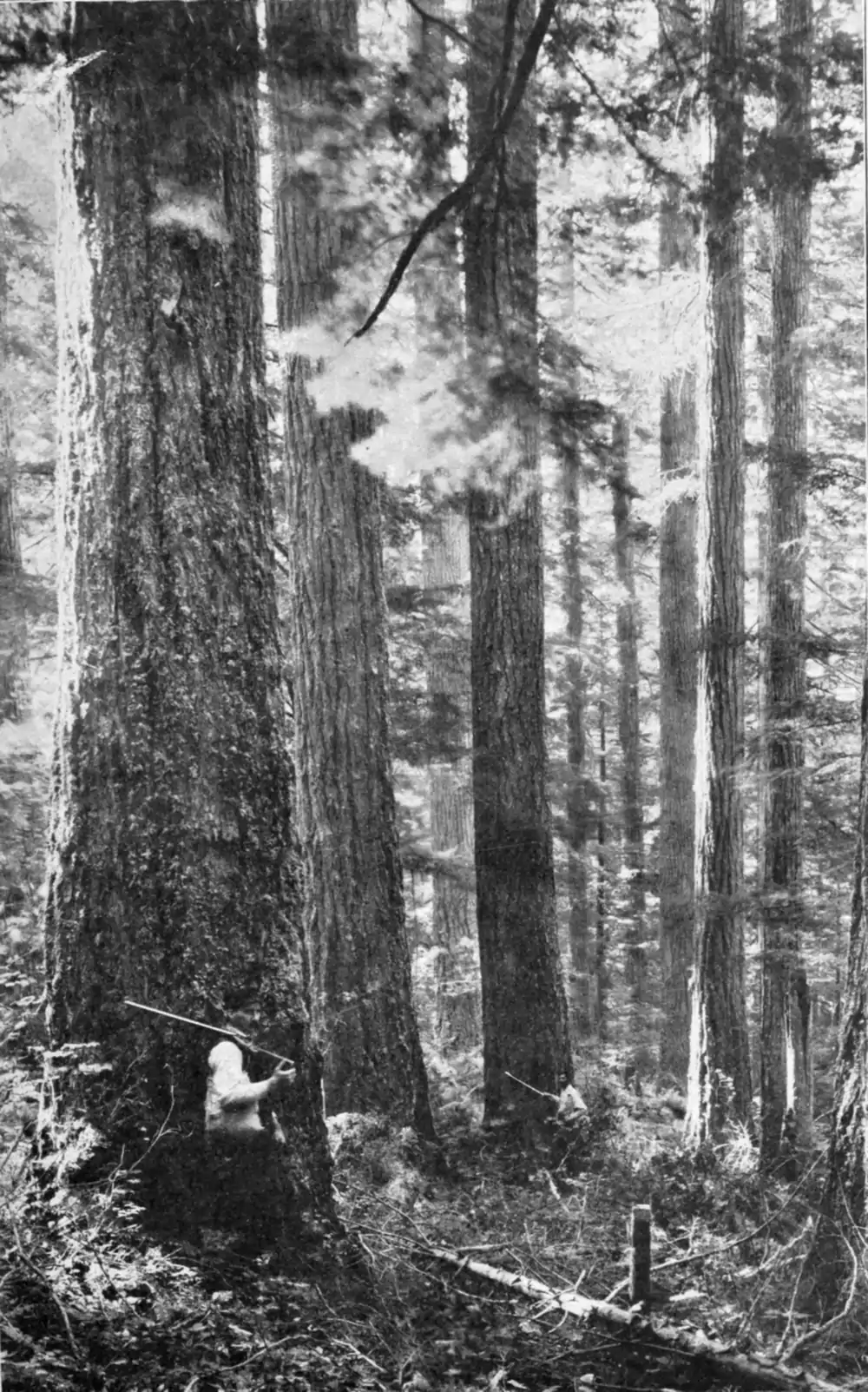 Looters of the Public Domain 081.png