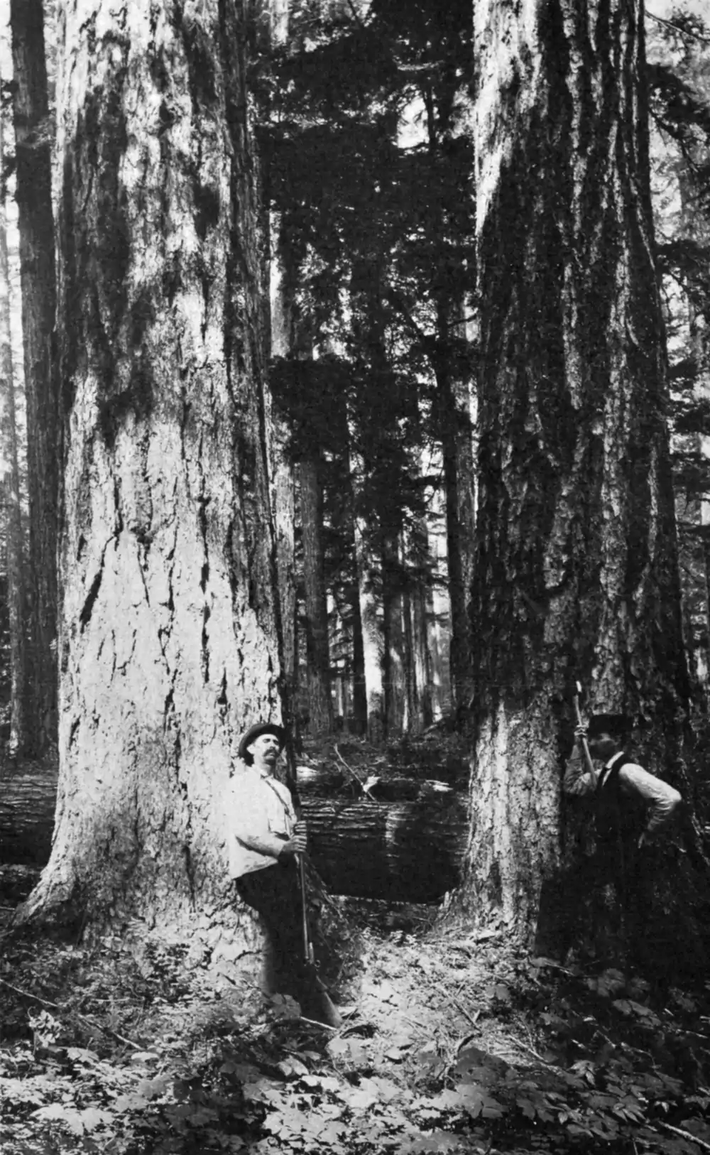 Looters of the Public Domain 114.png