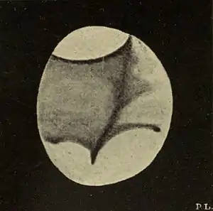 Lowell - Mars (1894) - Plate 15 Figure 1.jpg