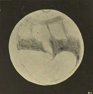 Lowell - Mars (1894) - Plate 16 Figure 2.jpg