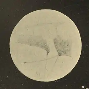 Lowell - Mars (1894) - Plate 16 Figure 3.jpg