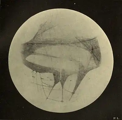 Lowell - Mars (1894) - Plate 3.jpg