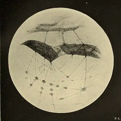 Lowell - Mars (1894) - Plate 9.jpg