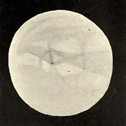 Lowell - Mars (1896) - Plate 22 Figure 2.jpg