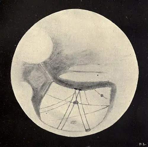 Lowell - Mars (1896) - Plate 23.jpg