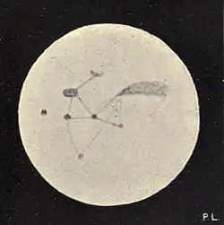 Lowell - Mars (1896) - Plate 26 Figure 2.jpg